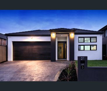 37 Fermont Avenue, Craigieburn, Vic 3064 - Photo 2