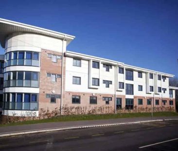 3/4 Bed Standard Ensuite - Photo 2