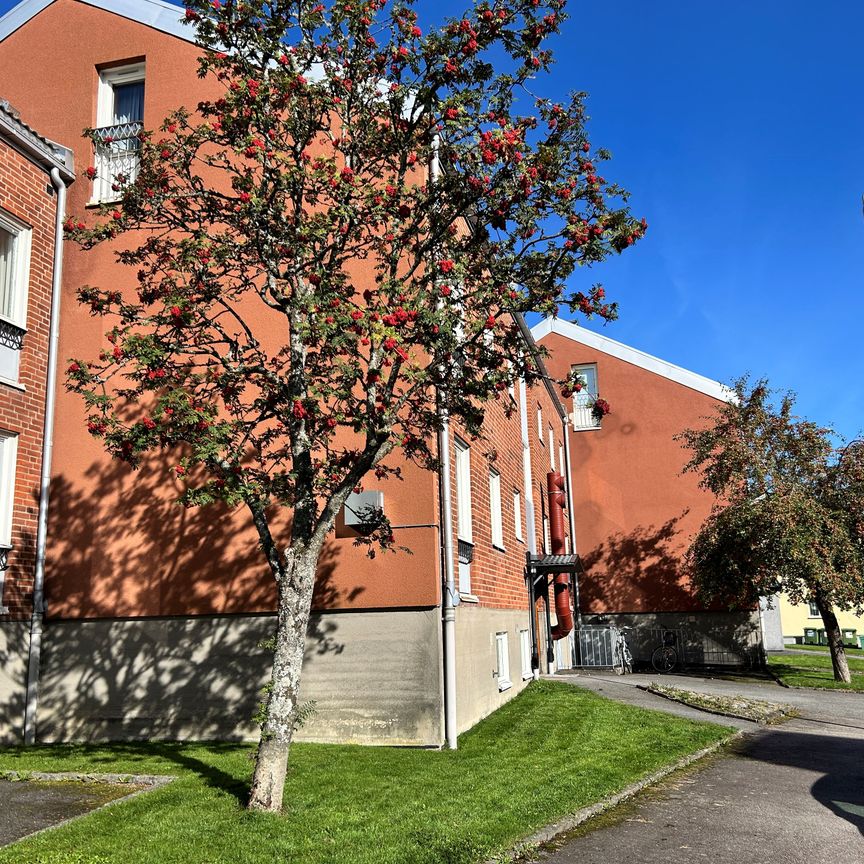 Klintvägen 21 - Foto 1