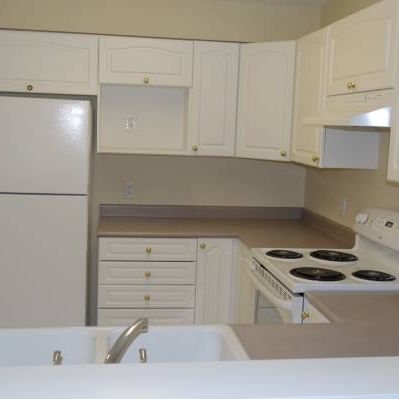 all new appliances new floor one bedroom apartment Maple Ridge - Photo 4