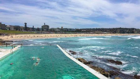 8 Ewell Street, Bondi NSW 2026 - House For Rent | Domain - Photo 3