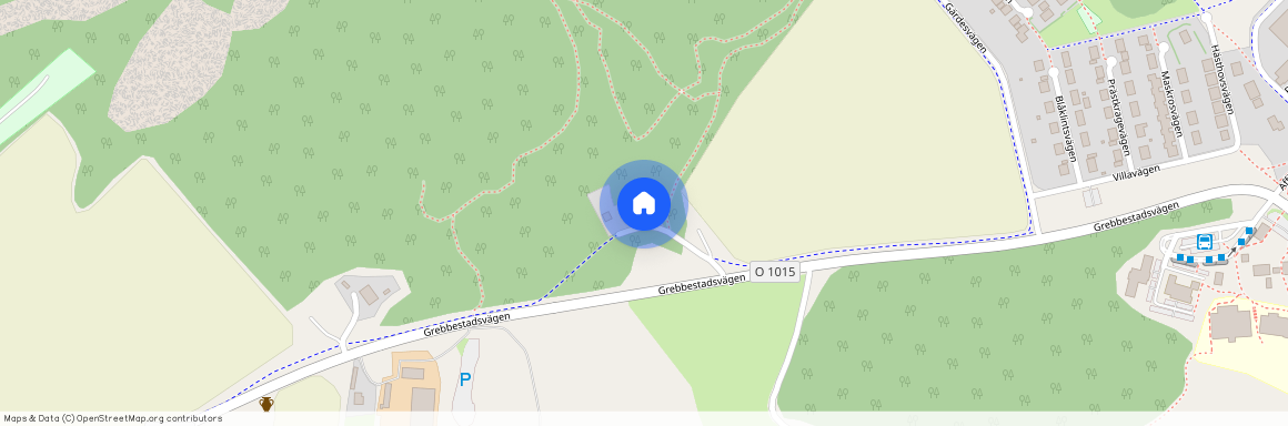 Grebbestadsvägen, Tanumshede
