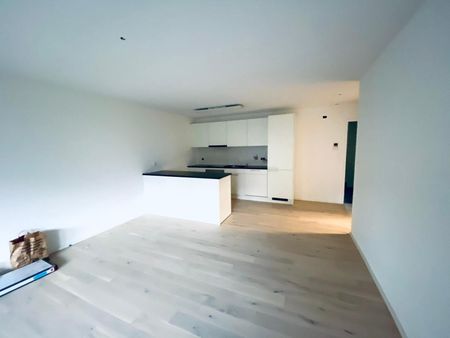 Unique apartment with special charm in Rorschacherberg - Photo 5