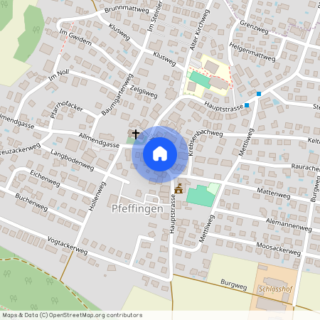 Auf Anfrage, 4148 Pfeffingen