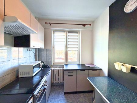 NOWE MIASTO | 2 POKOJE – 2800 – WSZYSTKO W CENIE! - Photo 5