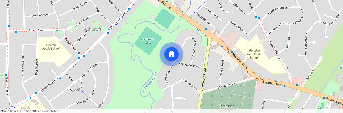 55 Lehmann Avenue, Liverpool NSW 2170