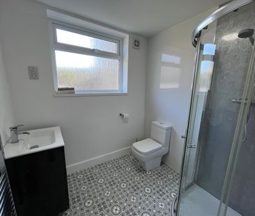 Basement Flat, Walter Road, Swansea. SA1 5PY - Photo 4