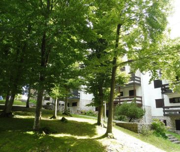 Appartamento in Via Monte Cogolin, Lusiana Conco (VI) - Photo 4
