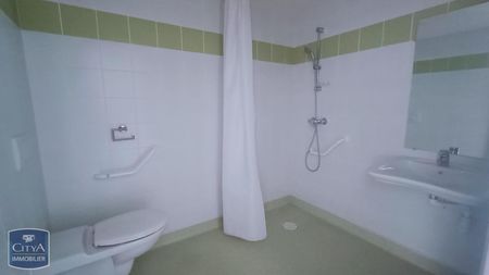 Location Appartement 2 pièces 41m² BUZANCAIS 36500 - Photo 5