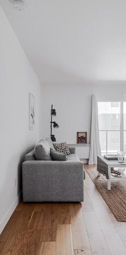 Appartement 3 ½ à louer Sainte-Foy / Sillery juillet 2026 - Photo 1