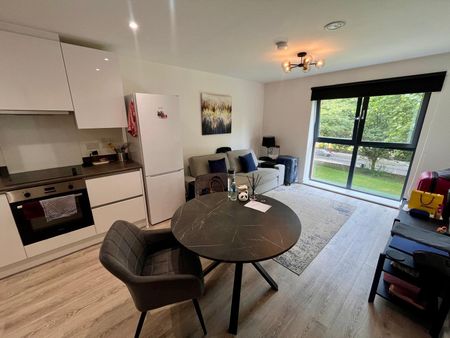 Bilsborrow Avenue, Derby - Photo 3