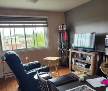 3.5 À LAVAL TRÈS TRANQUILLE AVEC ASCENSEUR! - Photo 1