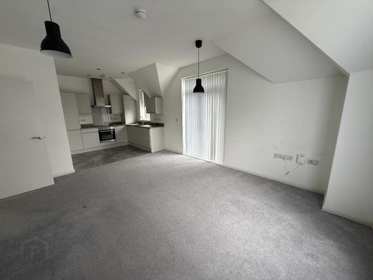 Walled Garden, 20 Yew Tree Mews, Dunmurry, BT17 9FU - Photo 1