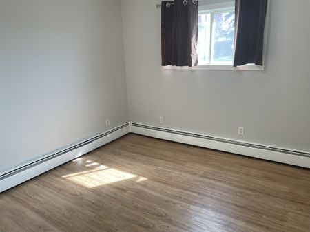 Beautifully Updated 2 Bedroom 3rd Floor Apartment in Riverside Meadow - Photo 3