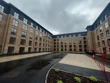 Erasmus Drive - Photo 3