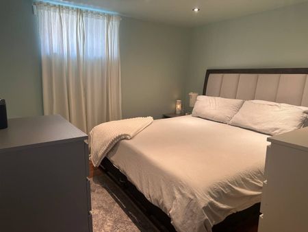 For Lease - 253 EAST 44TH Street Unit# Lower, Hamilton, Ontario - Photo 5