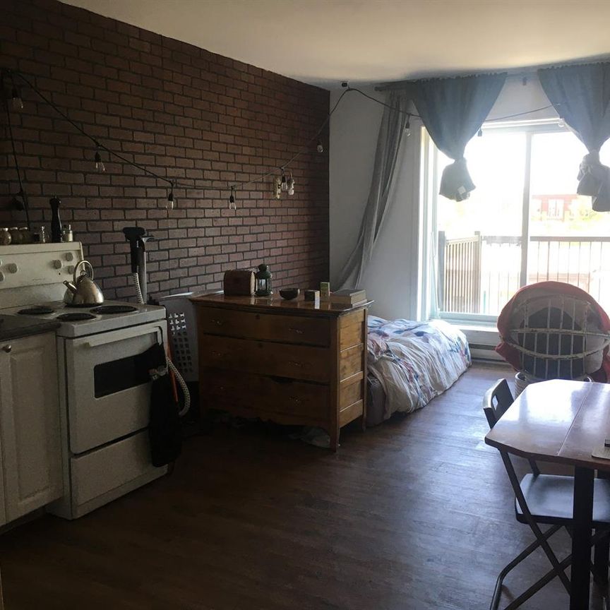 1 CH - 1 SDB - Montréal - $1,195 /mo - Photo 1