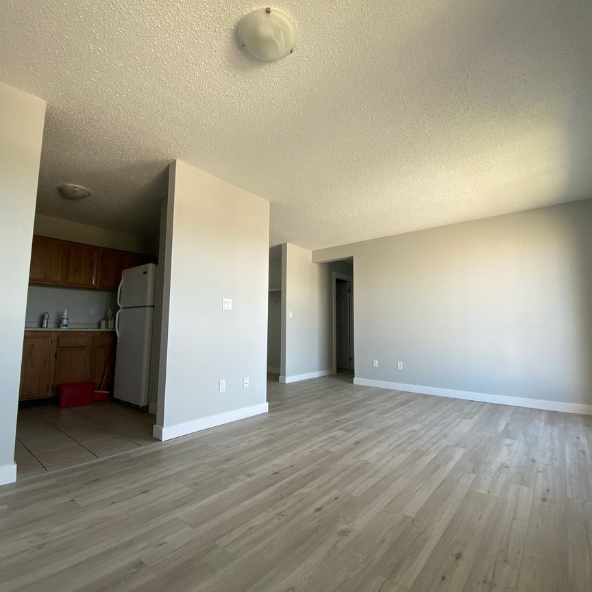 Riviera Garden - Photo 1