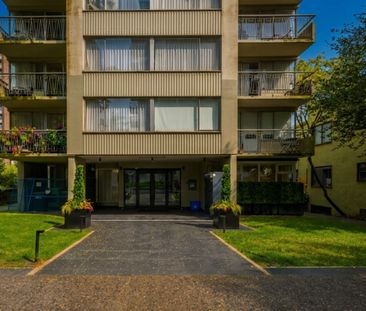 Newport Apartments - 1 Bedroom - Photo 3