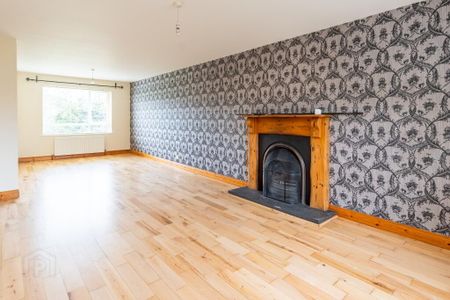 38 Belvedere Manor, Lurgan, BT67 9NW - Photo 4