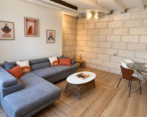 Location Appartement 2 pièces Meublé 47m² TOURS 37000 - Photo 1