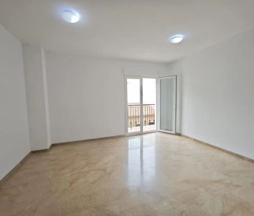 Elche / Elx - Photo 4