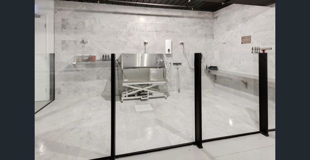 Luxury Living in the Heart of Hawksburn Village - Photo 1