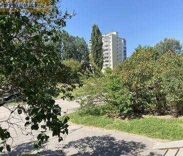 wynajmę kawalerkę 26m2 na parterze przy metrze Wawrzyszew ul. Reymo... - Zdjęcie 4