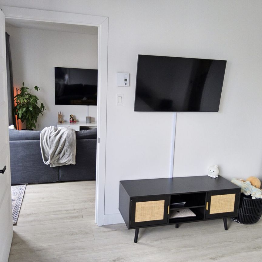 50 place Edmond-Aucoin Saint-Boniface - Photo 1