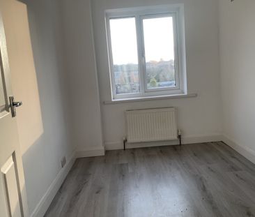 Fern Avenue - Photo 4