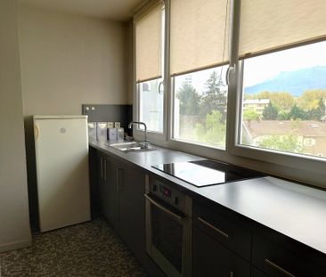 Location Grenoble - T3 meublé au 3ème étage avec ascenseur a proxim... - Photo 3