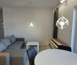 Piła, Zamość - Photo 5