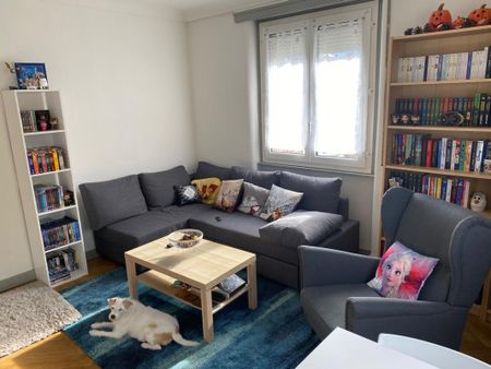Appartement de 3 pièces au 5ème étage situé à Genève 1205 - Photo 3