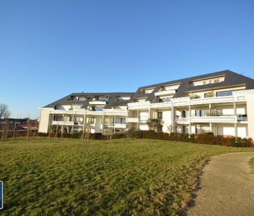 Location Appartement 2 pièces 60m² CHOLET 49300 - Photo 6