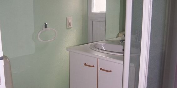 Location Appartement 1 pièce 17m² VICHY 03200 - Photo 3