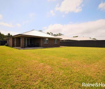 Beauty On Bowerbird - Photo 3