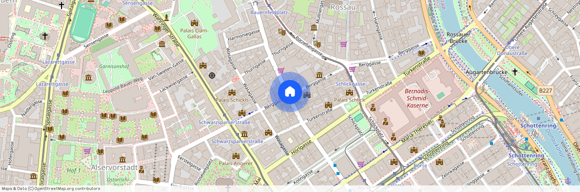 Berggasse, 1090 Wien, Alsergrund, (Votivkirche)