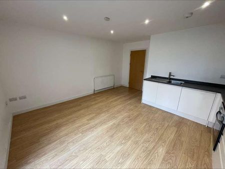 Bedroom - Central Luton - Juliette Balcony - Unfurnished, LU2 - Photo 4