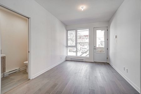 Condo for rent, Montréal (Rosemont/La Petite-Patrie) - Photo 2