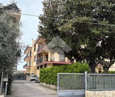 Multilocale in affitto - Photo 4