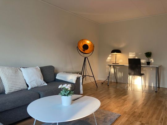 Maningsvägen, Sollefteå - Photo 1