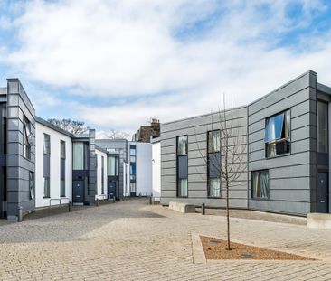 Room in a Shared Flat, Ascham Court, EH8 - Photo 6