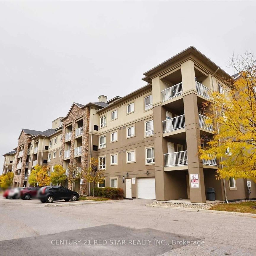 6 Dayspring Circle #215 - Photo 1