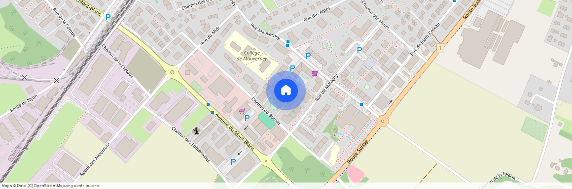 Chemin du Bochet 8b, 1196 Gland