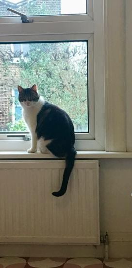 Light, quiet room in artists house, Brixton. - Photo 1