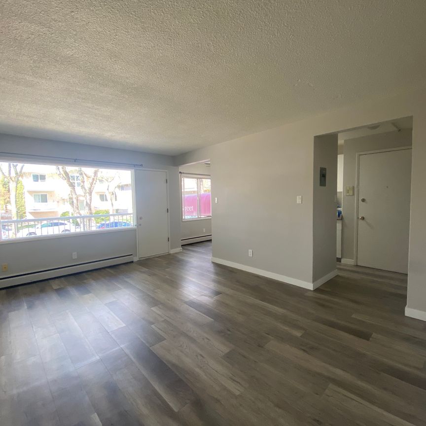 Princeton Manor - Photo 1