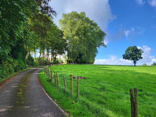 6 bedroom semi-detached house to rent - Photo 1