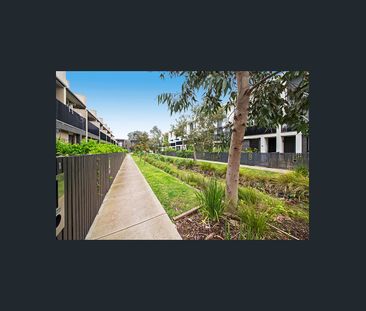 CORNER-SITED | PRESTIGE HOME PRECINCT | EXTRA PARKING - Photo 5