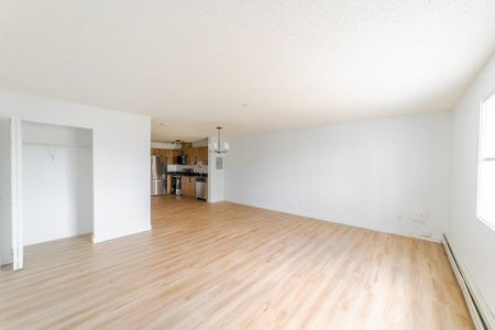 1 Bedroom - Photo 3
