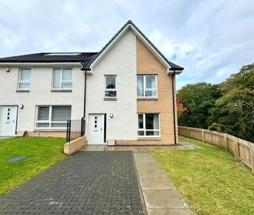 Oaktree Grove, Glasgow, G45 0BG - Photo 3